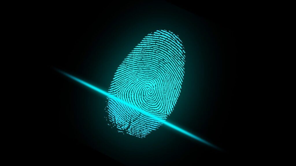 demuestras las investigaciones que se pueden llevar acabo